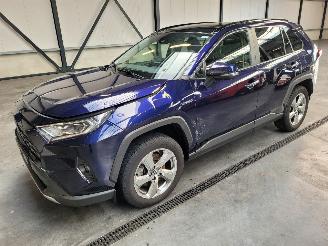 damaged commercial vehicles Toyota Rav-4 Hybrid 2.5 131-KW Automaat 2-WD Panoramadak 2019/1