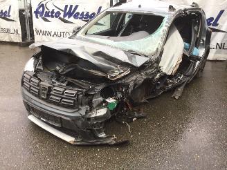 Unfall Kfz Van Dacia Sandero Stepway 2018/8