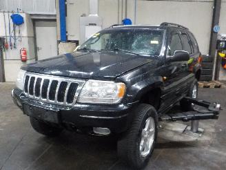škoda osobní automobily Jeep Grand-cherokee Grand Cherokee (WG/WJ) SUV 4.7i V-8 HO (EVC) [190kW]  (10-2001/09-2005=
) 2002/12